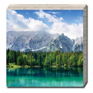 בלוק עץ טבע