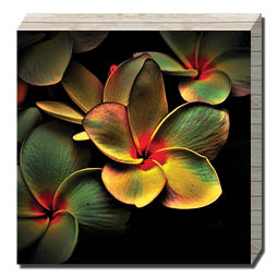 בלוק עץ אבסטרקט